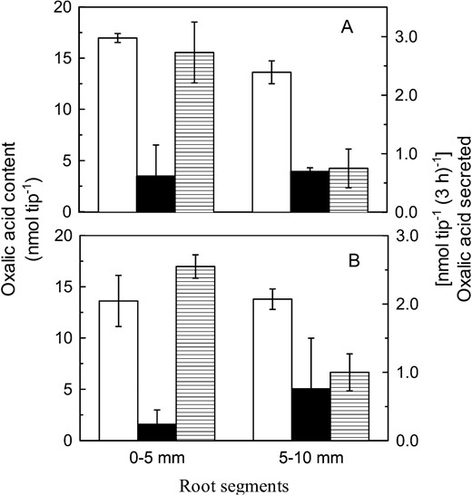 Al-induced secretion of oxalic acid from different sections of roots from cv Jiangxi (A) or cv Shanxi (B). Root segments excised from the root apex (0–5 mm) and the next segment (5–10 mm) were washed in 0.5 mm CaCl2 solution, pH 4.5, and then transferred to a similar solution containing 0 or 100 μ  m AlCl3. After 3 h, the root exudates were collected. The oxalic acid content in root apices was analyzed as described in text. Values are means of three replicates ± sd. Shown are the oxalic acid content in roots (white bars), oxalic acid secreted by the roots not treated with Al (black bars), and oxalic acid secreted by roots treated during Al treatment (shaded bars).