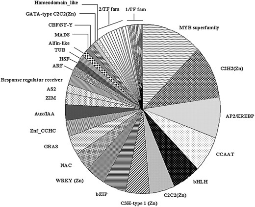 Classification of common bean TF genes in different families. The TF genes (372) were grouped in 47 different families with different Inter-Pro domains according to TF gene families reported for Arabidopsis (Riechmann, 2002; http://range.gsc.riken.ip/rart; http://daft.cbi.pku.edu.cn). The identity of each TF gene family with three or more members is shown. Twelve gene families with two members each (2/TF fam) are: TAZ, MBF1, ARID, Nin-like, Dof-type C2C2(Zn), S1Fa-like, YABBY C2C2(Zn), BES1, K-box, Histone-like/CBFA_NFYB_topo, Auxin_resp, and Lambda_DNA_bd. Eleven gene families with one member each (1/TF fam) are: FHA, LIM-domain, E2F/DP, Jumonji JmjN, SBP, SHAQKYF_MYB_bd, ZF_HD, SRS, POX, EIL, and Euk_TF_DNA_bd.