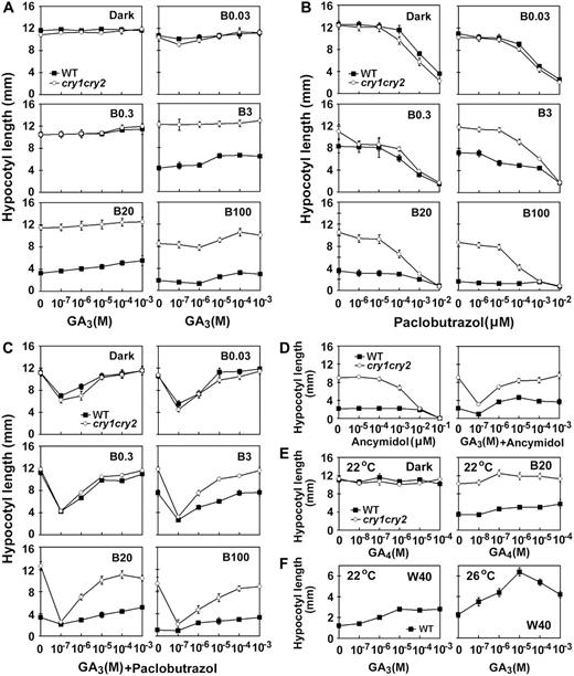 Effects of GAs or GA biosynthesis inhibitors on blue light inhibition of hypocotyl elongation. Seedlings were grown on Murashige and Skoog medium containing different concentrations of GA3 (A), GA4 (E), GA inhibitors paclobutrazol (B) or ancymidol (D), and GA inhibitors plus GA3 at different concentrations (C and D). The GA inhibitor used in C or D is paclobutrazol (0.02 μ m) or ancymidol (0.1 μ m), respectively. Hypocotyl lengths of 6-d-old seedlings grown under blue light of different fluence rates are shown. The symbols of B0.03, B0.3, B3, B20, and B100 indicate that seedlings were grown under continuous blue light with fluence rates of 0.03, 0.3, 3, 20, and 100 μmol m−2 s−1, respectively. Hypocotyl responses of seedlings grown on Murashige and Skoog medium containing different concentrations of GA3 under white light (W40, 40 μmol m−2 s−1) at two different temperatures are shown in F.