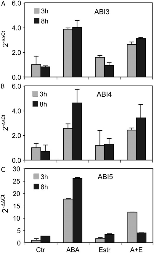A to C, Comparison of regulation of ABI3, ABI4, and ABI5 transcript levels in A26 seedlings (A, ABI3; B, ABI4; C, ABI5). Quantitative RT-PCR analysis was performed with RNA templates isolated from 3-d-old A26 seedlings treated with either 20 μ m ABA, or 4 μ m estradiol, or their combination (A+E) for 3 and 8 h. Ctr, Untreated control. Relative values are shown using GAPDH2 as internal reference.
