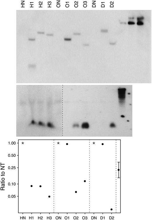 Molecular analysis. Top, Southern analysis of lfsRNAi transgenic onion plants probed with gfp probe. Center, RNAi analysis of small RNA probed with lfs probe. Bottom, Quantitative RT-PCR measurement of lfs transcript compared with nontransgenic (NT). HN, ON, and DN indicate nontransgenic hybrid, open-pollinated, and dehydration control, respectively (stars); H1, H2, H3, O1, O2, O3, D1, and D2 represent specific transgenic hybrid, open-pollinated, and dehydration onion plants (circles). Far right lanes show one-, five-, and 10-copy control, respectively (on Southern-blot gel) and LFS sequence control (on RNAi gel). The 95% confidence limit is calculated from an ANOVA of logged data using the within-bulb variation. Data were log-transformed to adjust for variance heterogeneity between lines.