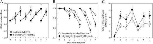Effects of elevated CO2 treatment on proton extrusion of roots. A, pH of the FeEDTA growth medium. B, pH of hydrous Fe(III)-oxide growth medium. C, Root proton extrusion rate of the plants grown in hydrous Fe(III)-oxide medium. Treatments are the same as in Figure 1 and measurement of the proton extrusion rate was conducted as described in “Materials and Methods.” Data are means ± sd (n = 4 for pH data; n = 8 for proton extrusion rate). *, Significant differences (P < 0.05) between ambient and elevated CO2 treatments at each time point. FW, Fresh weight.