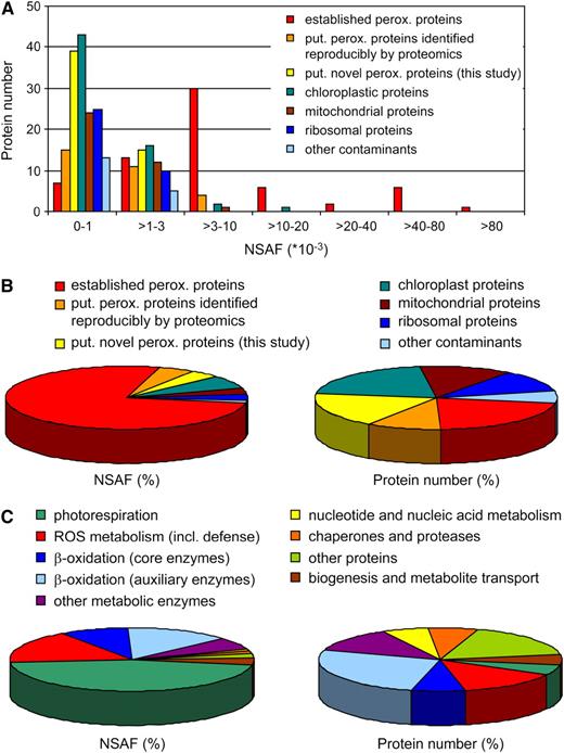 Subcellular and functional classifications of proteins identified in leaf peroxisomes. A, Number of peroxisomal and nonperoxisomal proteins grouped by NSAF values, which correlate with protein abundance. B, Relative abundance and protein numbers of peroxisome-associated and nonperoxisomal proteins. C, Functional assignment of peroxisome-associated proteins shown by relative abundance and protein numbers.