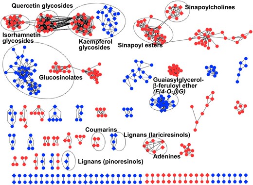 Clustering of metabolite signals by structural similarity. The structural similarity values (S) were determined using dot product methods (0 ≤ S ≤ 1). Nodes in the graph represent metabolite signals detected in positive (red) and negative (blue) ion modes. Edges represent pairs of structurally similar metabolites above the threshold (S > 0.35). The network contains 79 clusters of 1,269 edges among 467 metabolites, of which 95 metabolites are structurally assigned. The filled circles and diamonds indicate structurally unassigned and assigned metabolites, respectively. The metabolite classes included in clusters are also shown.