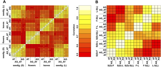 Correlation of probe set summary values (A) and fold changes (B). A, RMA-based probe set summaries for the gene probes on ATH1 (AT) and AGRONOMICS1 (AG_AT and AG) arrays were used, and pair-wise correlations (index.R) were calculated. For AGRONOMICS1 arrays, either only the ATH1 probes (AG_AT) or all probes (AG) were used. B, Log-transformed ratios of the means over the three replicates were used to calculate correlation coefficients. S(D), S(L), F, and L represent dark-grown and light-treated seedlings, flowers, and leaves, respectively. S(D)-F represents the comparison of dark-grown seedlings and flowers.