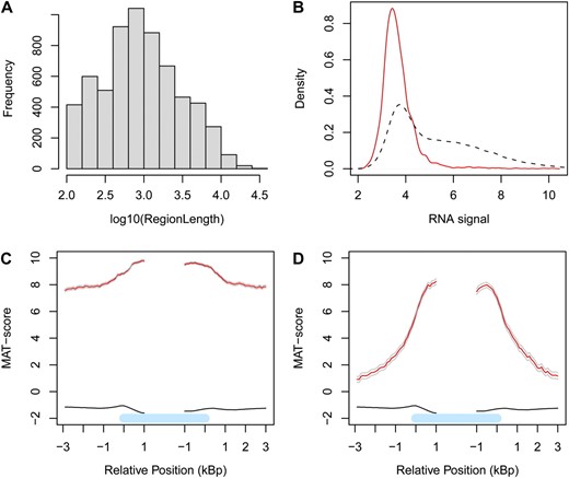 Characterization of H3K9me2-enriched regions. A, Size distribution of H3K9me2-enriched regions. B, Distribution of transcript signals for all genes (black broken line) and H3K9me2-marked genes (red solid line). C and D, Average H3K9me2 profiles (red lines) at H3K9me2-marked genes in the pericentromeric heterochromatin (C) and the euchromatic chromosome arms (D). The black lines represent the H3K9me2 profiles of genes not marked by H3K9me2; the gray lines indicate 95% confidence intervals. The light blue bars represent the annotated gene body from transcription start (left) to transcription end (right). Profiles are shown around annotated start (™3 kb…+1 kb) and end (™1 kb…+3 kb) positions.