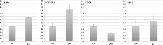 Quantitative RT-PCR analysis of genes that are involved in the E2F pathway. The graphs show the relative expression of each gene in the gte4 mutant compared with the wild type (WT). Error bars indicate se. RNA was extracted from 4-d-old Arabidopsis plantlets.