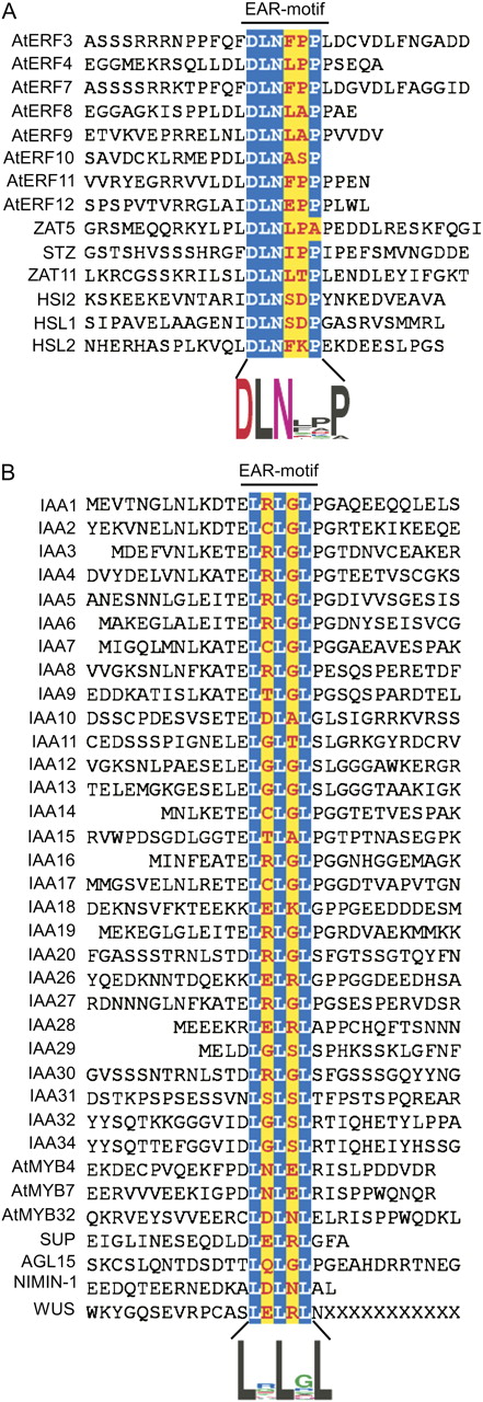 Arabidopsis EAR motif-containing proteins described in the literature. The 49 proteins are divided into two groups based on the sequence conservation pattern within the core EAR motif sites (highlighted in color). The alignment includes 12 amino acid residues upstream and downstream of the EAR motif, or up to where the nominal 12-amino acid sequence is abridged by encountering the first or last amino acid of the protein. A, The DLNxxP motif is conserved in some members of class II ERFs, TFIIIA-type ZFPs, and ABI3/VP1 family proteins. B, The LxLxL motif is conserved in AUX/IAAs and some members of the MYB and HD-Zip family proteins. Sequence logos (Crooks et al., 2004) illustrating the frequency of amino acids within the EAR motifs are presented below the respective alignments.