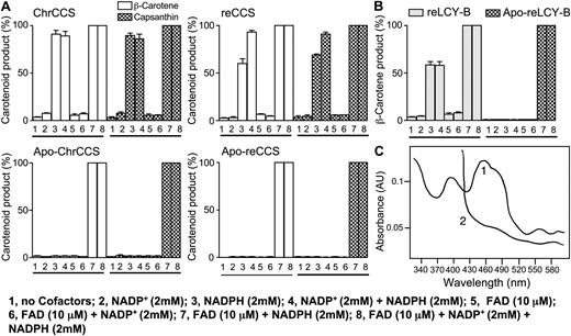 Effects of FAD and NADPH on the activity of ChrCCS, reCCS, and reLCY-B using different reconstitution conditions. The different holoenzymes were deflavinylated as described in “Materials and Methods” before incubation in a reaction mixture containing 50 μg of protein and appropriate cofactors as indicated. A, For CCS, the lycopene cyclase (conversion of lycopene to β-carotene) and the κ-cyclase (conversion of antheraxanthin into capsanthin) activities were determined. Values were normalized with respect to the holoenzymes or apoenzymes incubated with the substrate in the presence of FAD and NADPH. The 100% values refer to ChrCCS (β-carotene, 81 ± 7.2 nmol mg−1 h−1; capsanthin, 232 ± 15.6 nmol mg−1 h−1); apo-ChrCCS (β-carotene, 67 ± 5.2 nmol mg−1 h−1; capsanthin, 178 ± 11.6 nmol mg−1 h−1); reCCS (β-carotene, 72 ± 6.3 nmol mg−1 h−1; capsanthin, 156 ± 10.4 nmol mg−1 h−1); apo-reCCS (β-carotene, 40 ± 5.7 nmol mg−1 h−1; capsanthin, 125 ± 15.7 nmol mg−1 h−1); reLCY-B (β-carotene, 115 ± 12.3 nmol mg−1 h−1); and apo-reLCY-B (β-carotene, 77 ± 6.7 nmol mg−1 h−1). B, ReLCY-B and apo-reLCY-B were used to determine the conversion of lycopene into β-carotene. C, UV-visible absorption of purified ChrCCS incubated with 5 mm NADPH under argon atmosphere. Absorption of oxidized (peak 1) ChrCCS (5.5 μ m) in 10 mm phosphate buffer (pH 7) containing 15% glycerol, 0.5% Tween 80, and 5 mm NADPH (peak 2) is shown.