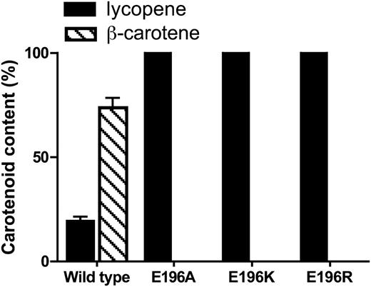 Functional characterization of bacterial wild-type and mutant LCY-Bs. Following the identification of Glu-196 as an active-site residue of Erwinia lycopene cyclase, a plasmid-based assay was used to test wild-type and mutant Erwinia LCY-B. E. coli JM101 harboring the plasmid pACYC-EBI (chloramphenicol), which produces lycopene, was used. After transformation of E. coli JM101-pACYC-EBI (chloramphenicol) with plasmids encoding wild-type or mutant Erwinia LCY-Bs and induction with 0.5 mm isopropyl-β-thiogalactopyranoside, total carotenoids were extracted from the bacterial pellets and analyzed by HPLC as described in “Materials and Methods.” Data shown represent means ± sd for two independent experiments.