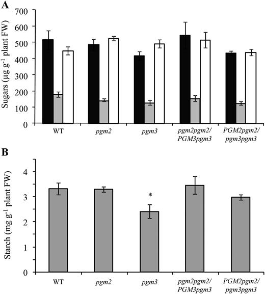 Effect of reduced cPGM activity on sugar and starch content in the leaf. Five-week-old plants were harvested 4 h into their 12-h photoperiod, and starch and sugar contents were determined. Homozygous single mutants (pgm2 and pgm3) and plants with one functional allele (PGM2pgm2/pgm3pgm3 and pgm2pgm2/PGM3pgm3) were analyzed. Values are the means of four biological replicates ± se. FW, Fresh weight. Asterisks indicate values that differ significantly from the wild type (WT; Student’s t test; P ≤ 0.05). A, Glc (black bars), Fru (gray bars), and Suc (white bars) content in different mutants lacking PGM2 and PGM3. B, Starch content from the same plants as used for sugar measurements in A. The starch content of pgm3 was slightly reduced. However, when considered together with other experiments (see Supplemental Figs. S3 and S5), no consistent changes were observed between mutant and wild-type plants.