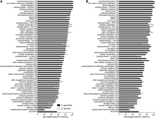 The qualitative patterns of transcript abundance between C. gynandra and C. spinosa are very similar, with the same classes underrepresented and overrepresented in both libraries. A, Analysis based on BLAT mapping. B, Analysis based on BLAST mapping. Black bars refer to the C4 plant C. gynandra, and white bars refer to the C3 plant C. spinosa.