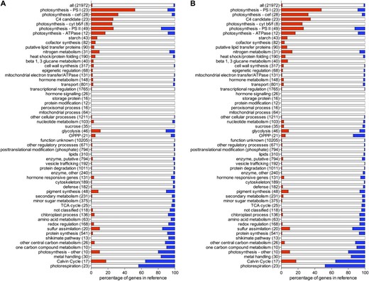 The quantitative patterns of transcript accumulation in C. gynandra and C. spinosa are distinct. A, Analysis based on BLAT mapping. B, Analysis based on BLAST mapping. Shown are the percentages of genes with significantly higher abundance of transcripts in C4 (red bars), unchanged (white bars, including genes not detected), and significantly lower abundance of transcripts in C4 (blue bars) based on the total number of genes in each annotation class (in parentheses on the y axis).