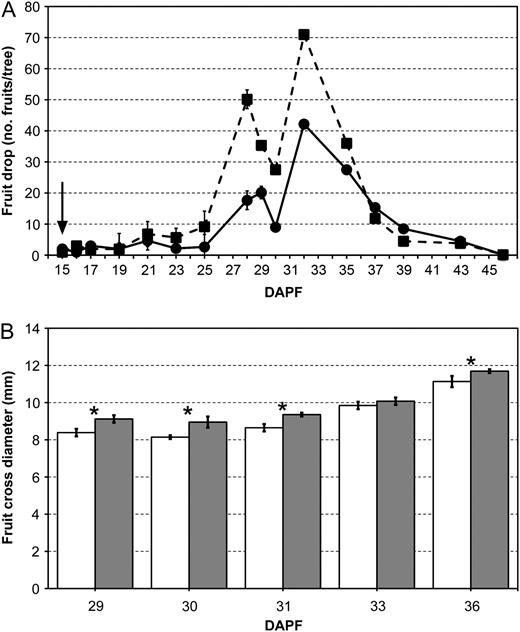 A, Fruit drop dynamics in control (circles and continuous line) and BA-treated (squares and dotted line) trees, expressed as number of drop fruitlets per tree. The arrow represents the time of BA treatment. B, Mean cross-diameter of dropped fruits in control (white bars) and BA-treated (gray bars) trees. Only the five most divergent dates are reported. Error bars represent sd, whereas asterisks show the statistically significant differences (P ≤ 0.05).