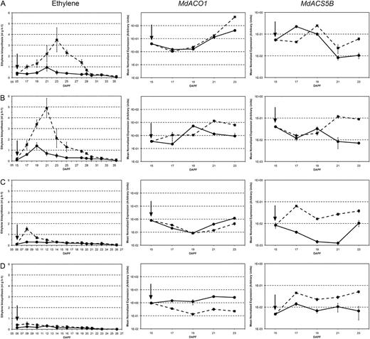 Ethylene biosynthesis (left), expression of MdACO1 (center), and expression of MdACS5B (right) in small (A) and big (B) lateral fruitlets and in small (C) and big (D) central fruitlets, either untreated (circles and continuous lines) or treated with BA (squares and dotted lines). Error bars represent sd.
