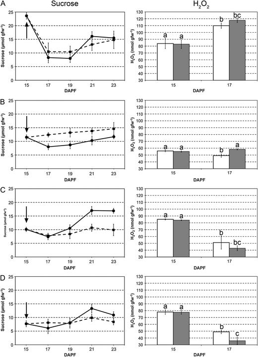 Suc concentration (left) and hydrogen peroxide (H2O2) amount (right) in small (A) and big (B) lateral fruitlets and in small (C) and big (D) central fruitlets, either untreated (circles and continuous lines for Suc, white bars for hydrogen peroxide) or treated with BA (squares and dotted lines for Suc, gray bars for hydrogen peroxide). Letters indicate significant differences as pointed out by lsd test (P < 0.05). Error bars represent sd.