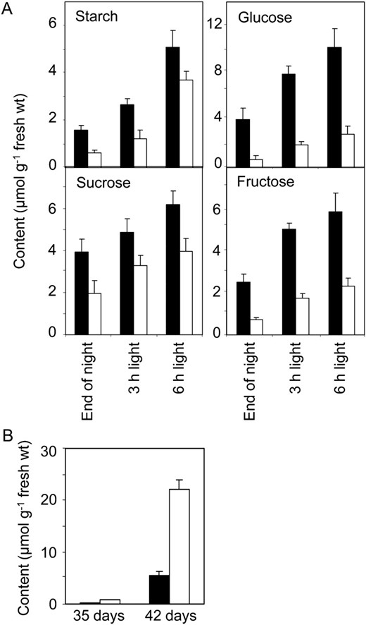 Carbohydrate contents of the apices of flowering stems and of leaves of mutant and wild-type plants. Values are means of measurements on five samples per time point, and se is indicated. Black bars, the wild type; white bars, the gsl7 mutant. A, Starch and sugars in apices of flowering stems. Plants were grown for 46 d in 12 h of light and 12 h of dark. Samples were harvested at the end of the night and 3 and 6 h into the light period. Each sample consisted of two flower heads (approximately the apical 1 cm of the main stem, consisting of the terminal cluster of flowers and buds). B, Starch in leaves. Plants were grown for either 35 or 42 d. Each sample was harvested at the end of the night and consisted of three fully expanded leaves from a single plant.