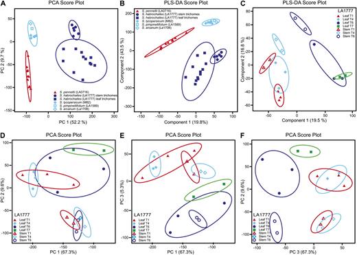 PCA and PLS-DA of metabolite profiling data for comparison of trichome types of all species evaluated in this investigation (A and B) and of all trichome types from S. habrochaites (LA1777; C–F).
