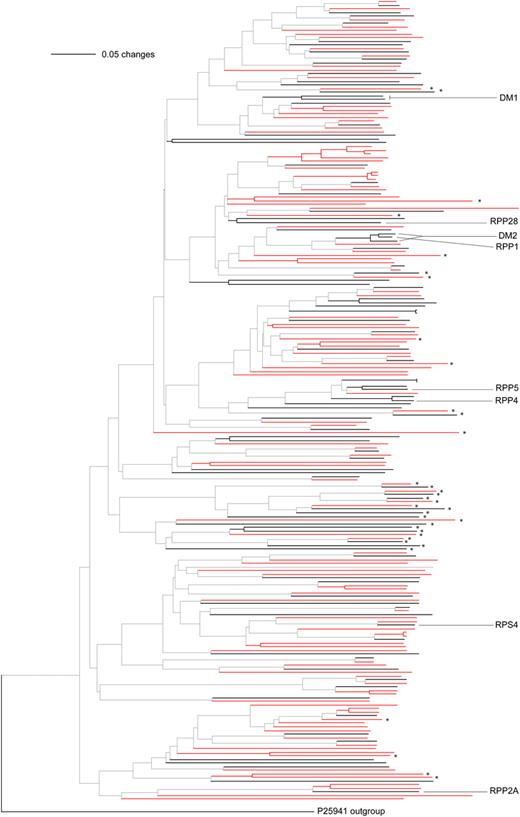 Phylogeny of TNL and TN proteins based on the NB domain. Annotation is as for Figure 1. For complete names at each branch, see Supplemental Figure S2.