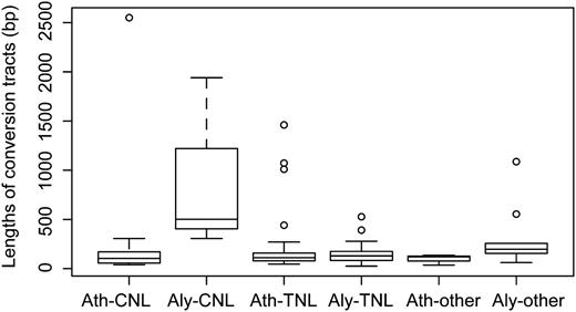 Lengths of gene conversion tracts. Whiskers above boxes indicate the greatest value after excluding outliers; those below boxes indicate the least value after excluding outliers.