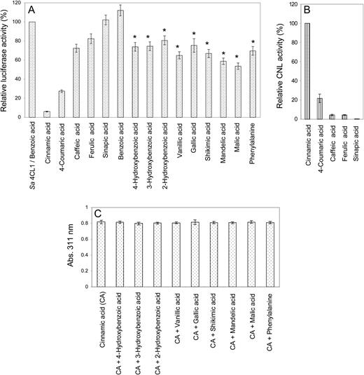 Substrate specificity of H. calycinum CNL, as determined by luciferase-based (A), spectrophotometric (B), and substrate competition (C) assays. A, ATP left over in the CNL-catalyzed reaction was measured as luciferase-dependent bioluminescence, which inversely correlated with CNL activity. A reference reaction with S. aucuparia 4CL1 and its nonsubstrate benzoic acid was used to normalize bioluminescence. B, CNL activities were calculated using the extinction coefficients of the respective CoA esters, cinnamoyl-CoA formation being set as 100%. C, CNL was incubated with either cinnamic acid only or combinations of cinnamic acid and the acids indicated by asterisks in A. sd values are indicated (n = 3).