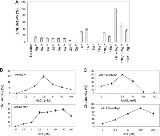Effect of cation supplementation on CNL activity. A, Assays contained either 2.5 or 100 (a) mm concentrations of monovalent and divalent cations. B, The effect of increasing concentrations was studied for the most efficient cations, Mg2+ and K+. C, Similar experiments were carried out in the presence of the optimum concentration of either the monovalent or the divalent cation. sd values are indicated (n = 3).