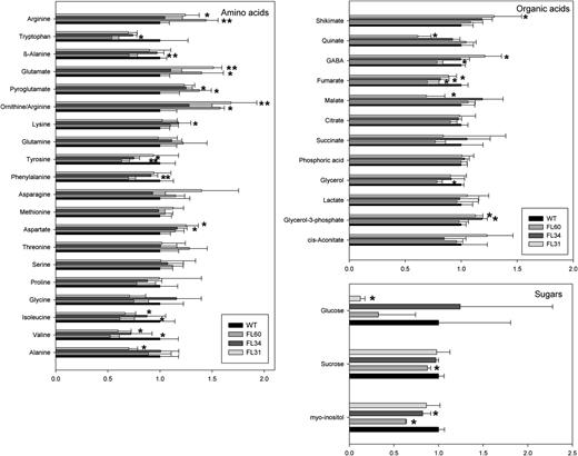 Relative metabolite content in potato tubers from 10-week-old transgenic and wild-type (WT) plants. Data are normalized to the mean response calculated for the wild type of each measured batch. Values are presented as means ± sd of six individual plants per line. Bars are as follows: wild type, black bar; FL60, gray bar; FL34, dark gray bar; FL31, light gray bar. Asterisks indicate values that were determined by Student t test to be significantly different (P < 0.05) from the wild type.