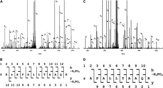The predicted 14-3-3 binding motif of HopQ1 is phosphorylated by plant kinases. A and B, HopQ1-Strep tag II fusion protein expressed in N. benthamiana leaves was affinity purified and subjected to LC- MS/MS analyses. C and D, HopQ1-6xHis expressed in bacteria was incubated with total protein extracts from N. benthamiana and then affinity purified and analyzed by LC- MS/MS. A and C show the fragmentation spectra with peak assignment to b, y, b-H3PO4, and y-H3PO4, with “–P” denoting loss of an H3PO4 group. Major signals of the MS/MS spectra are identified by their corresponding fragment tags of the b, y series, but also of the y-H3PO4 and b-H3PO4 series, which were expected in the case of a phosphorylated peptide. B and D show the peptide sequences with daughter ions of the b, y, b-H3PO4, and y-H3PO4 series found in the spectra. In the peptide derived from HopQ1 phosphorylated in vitro (C and D), the presence of the full series of b2 to b10 fragments and the expected b-H3PO4 series allows for unequivocal localization of the phosphate at Ser-51. In the peptide derived from HopQ1 expressed in planta (A and B), the majority of b and b-H3PO4 pairs are also present. In addition, the presence of strong y, y-PO3, and y-H3PO4 signals indicates that the site of phosphorylation is Ser-51, not Ser-49.