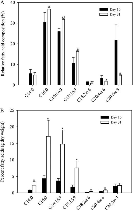 Detailed lipid analysis of N. oceanica IMET1 harvested at day 10 (nitrate repletion) and day 31 (chronic nitrate depletion). A, Relative fatty acid composition (percentage total fatty acids). B, Percentage fatty acid composition (g dry weight). Samples harvested at the two time points were used as studies of proteomics. The experiment was repeated two times, and the values are means ± sd (n = 5). Day 31 was compared with day 10. Asterisks indicate significant differences determined by an independent Student’s t test (*P < 0.05, **P < 0.01).
