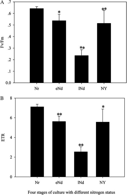 F v/F m (A) and ETR (B) of N. oceanica IMET1 grown under nitrate repletion, nitrate depletion, and nitrate addition. Nr, Mean IMET1 grown under nitrate repletion (n = 7) from day 3 to day 10; eNd, mean IMET1 grown under early nitrate depletion (n = 6) from day 14 to day 20; lNd, mean IMET1 grown under late nitrate depletion (n = 6) from day 25 to day 31; Ny, mean IMET1 grown under nitrate addition (n = 6) from day 32 to day 39. eNd and lNd were compared with Nr, while Ny was compared with lNd. Statistical analysis was performed with an independent Student’s t test. Significance values are expressed as follows: *P < 0.05, **P < 0.001.