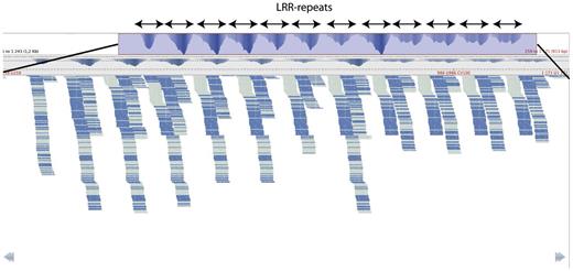 Coverage plot of sRNA reads mapping to TC142020. Allowing for one mismatch and multiple hits resulted in 3,547 unique sRNA sequences mapping to this EST cluster. Each sRNA sequence is represented by one read. The top panel shows a coverage plot of the complete sequence, and the blue shaded area is shown in the bottom panel displaying individual reads. Read orientation is depicted by light or dark blue color in the bottom panel. The plot was produced with Tablet (Milne et al., 2010).
