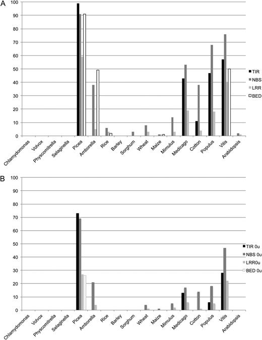Percentage of NBS-LRR-type genes hit by more than 10 unique sRNA reads in different plant species. For each species, genes that contained any of TIR, NBS, LRR, or BED domains were selected, and for each class, the percentage of those genes that were hit by more than 10 different unique 21-nt sRNA sequences was calculated. In the top graph, sRNA reads were mapped allowing one mismatch, and reads mapping at multiple positions in the whole reference were retained. In the bottom graph, mapping was performed with only perfect matches and discarding reads mapping to multiple positions.