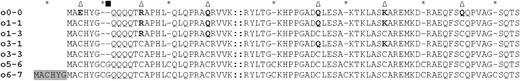Positions of Cys residues engineered into different Cys-oleosins. Triangles indicate engineered Cys residues substituting for existing (boldface) residues; asterisks indicate Cys residues engineered in addition to the original peptide sequence; the square indicates a Gly residue added to both o5-6 and o6-7. Gray shading indicates the duplicated N-terminal residues added to o6-7, and double colons indicate the hydrophobic domain (72 residues in total). Gaps (dashes) have been added to keep sequences aligned.