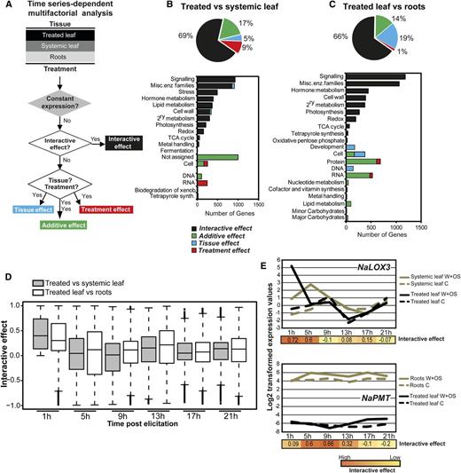 Time series-dependent multifactorial classification of transcripts and encoded molecular processes. A, We employed a bootstrap-based nonparametric ANOVA model to classify transcript levels based on combined significant responses in different tissues and for different treatments across the time series. Transcripts with no significant changes in expression across different conditions were excluded from further analysis. B and C, Functional categorization of transcripts. GO classification was performed for processes with a bin-specific enrichment statistic of F < 0.05. TCA, Tricarboxylic acid. D, Box plots of ANOVA directions, described as a time-response metric representing the significant interactive effect along the time series while comparing systemic tissues (unelicited leaves and roots) with the treated leaves. E, Temporal profiles of two representative genes (NaLOX3 and NaPMT) obtained from clusters exhibiting interactive effects between treated and systemic tissues using ANOVA model analysis on transcript time-response behaviors.