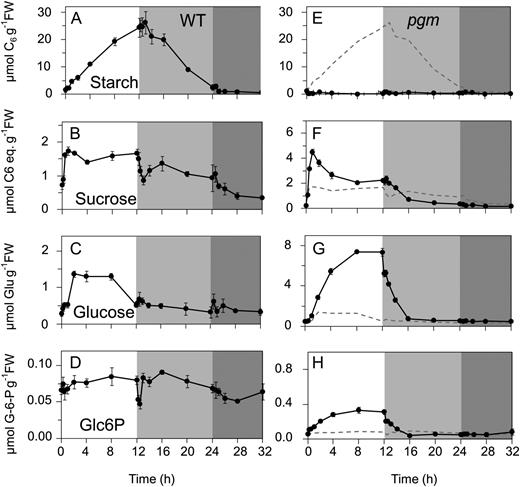 Diurnal changes of carbohydrates in rosettes of the Arabidopsis Col-0 wild type (WT) and the starchless pgm mutant. The plants were grown in soil in a 12-h-light/12-h-dark diurnal cycle. The x axis starts at the end of the night, with 0 h representing harvest just before illumination, followed by the light period, the night, and a 10-h extended night treatment that was given on this day only. A, Starch in the wild type. B, Suc in the wild type. C, Glc in the wild type. D, Glc-6-P in the wild type. E, Starch in pgm. F, Suc in pgm. G, Glc in pgm. H, Glc-6-P in pgm. Note the different y axis in plots E to H. The original data are given in Supplemental Table S2. The results are means ± sd (n = 3 biological replicates). FW, Fresh weight.