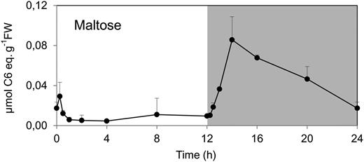 Diurnal changes of maltose in rosettes of the Arabidopsis Col-0 wild type. The data are for the experiment of Figure 1. The results are means ± sd (n = 3 biological replicates). FW, Fresh weight.