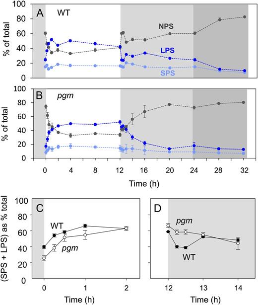 Diurnal changes in polysome loading. Polysome density gradients were performed using material from the experiments of Figures 1 and 2. The x axis starts at the end of the night (0 h), followed by the light period, the night, and an extended night. A, Wild-type Col-0 (WT). B, pgm. In A and B, the display shows the estimated distribution of polysomes (%) between the NPS (black), SPS (light blue), and LPS (blue) fractions. C and D, Comparison of polysome loading in Col-0 and pgm in the time intervals 0 to 2 h in the light (C) and 12 h of light and 2 h of dark (D). Polysome loading was calculated as (SPS + LPS)/(NPS + SPS + LPS). The original data are given in Supplemental Table S2. The results are means and sd of three independent biological replicates.