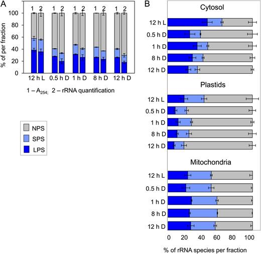 Loading of cytosolic, plastidic, and mitochondrial ribosomes into polysomes. Col-0 was grown in a 12-h-light/12-h-dark cycle as in Figure 1, and rosettes were harvested after 12 h of light (L) and 0.5, 1, 8, and 12 h of darkness (D) and subjected to polysome gradient fractionation. To determine the abundance of cytosolic, plastidic, and mitochondrial ribosomes in each gradient fraction, complementary cDNA was prepared after adding eight external standards and rRNA quantified by qRT-PCR using specific primer pairs for the cytosolic 18S, the plastidic 16S, and the mitochondrial 18S rRNA species. A, Comparison of polysome loading as calculated from the A 254 profile of the gradient (1) and the summed level of cytosolic, plastidic, and mitochondrial rRNA in each gradient fraction (2). B, Loading of the cytosolic, plastidic, and mitochondrial ribosomes into polysomes. NPS, Gray bars; SPS, light blue bars; LPS, dark blue bars. The original data are given in Supplemental Table S3. The results are means ± sd of three independent biological samples from plants grown and harvested at different times.