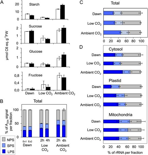 Response to illumination at ambient and subcompensation point CO2. A, Content of starch and sugars (Suc, Glc, and Fru) in rosettes of the Arabidopsis Col-0 wild type grown in soil in a 12-h-light/12-h-dark diurnal cycle in two separate experiments harvested at the end of night and after illumination at low (50 µL L−1) or ambient (480 µL L−1) CO2 for either 2 h (experiment 1; white bars) or 4 h (experiment 2; black bars). FW, Fresh weight. B, Estimated ribosome content in each fraction of the density gradient based on A 254. Ex1 and Ex2 indicate samples at dawn in experiment 1 and experiment 2, respectively. rRNA was also determined using qRT-PCR in the material from experiment 2. C, Percentage of all rRNA species in NPS, SPS, and LPS calculated using qRT-PCR. D, Percentage of 18S cytosolic, 16S plastidic, and 18S mitochondrial rRNAs in NPS, SPS, and LPS. The original data are provided in Supplemental Table S4. Color coding is as in Figure 5. The results are means ± sd of three independent biological replicates.