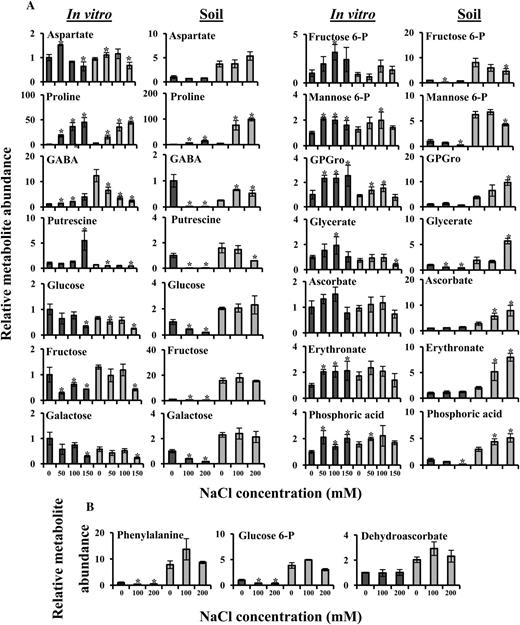 Growth platform-dependent Arabidopsis (dark gray bars) and E. salsugineum (light gray bars) salt response metabolic signatures. A, Metabolites whose accumulation exhibits repression in in vitro-grown compared with soil-grown E. salsugineum. B, Metabolites only detected in soil-grown plants. Abundance of each metabolite was normalized to the Arabidopsis control level, which was assigned a value of 1. Data are mean (n = 4, in vitro; n = 3, soil) ± sd and are representative of three independent experiments. Asterisks represent significant difference (P ≤ 0.05, Student’s t test) between Arabidopsis or E. salsugineum and their respective controls. GPGro, Glycerophosphoglycerol.