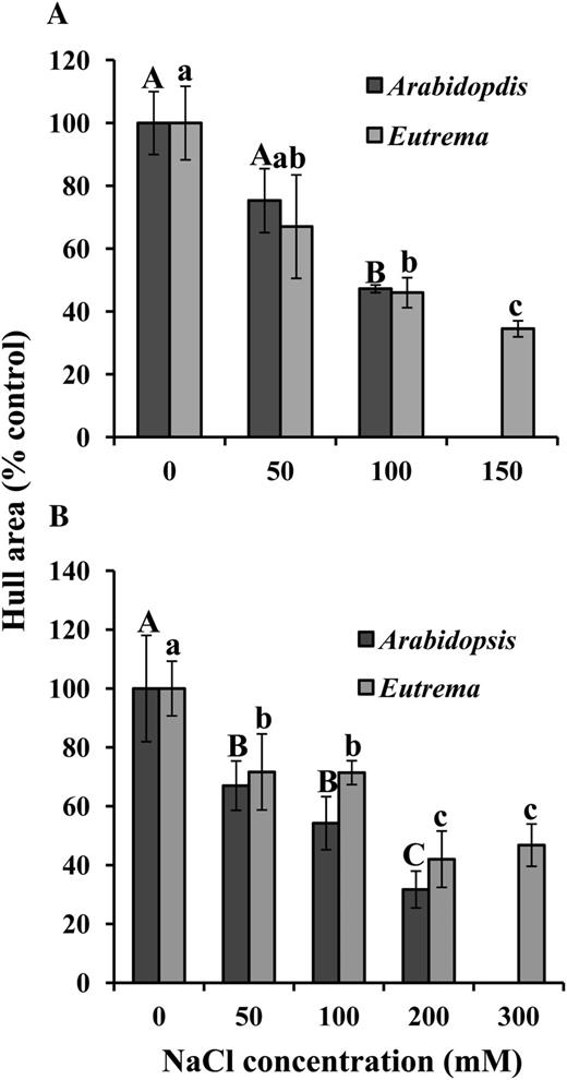 Effect of salt stress on hull area of in vitro- and soil-grown Arabidopsis and E. salsugineum. A, In vitro. B, Soil. Data are mean ± sd (n = 3, in vitro; n = 8, soil). Each replicate in vitro plate contained approximately 15 seedlings. Only E. salsugineum plants could be grown on soil under 300 mm NaCl. Data are representative of similar results from two independent experiments. Bars with different letters (uppercase, Arabidopsis; lowercase, E. salsugineum) indicate significant difference at P ≤ 0.05 (Student’s t test). Each species was statistically analyzed separately between all salt levels.