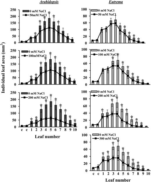 The effect of salt stress on the area of individual soil-grown Arabidopsis (dark gray bars) and E. salsugineum (light gray bars) leaves. Data are mean ± sd (n = 8). Data are representative of similar results from two independent experiments. Asterisks represent significant difference between control and salt-treated leaf areas (P ≤ 0.01, Student’s t test).