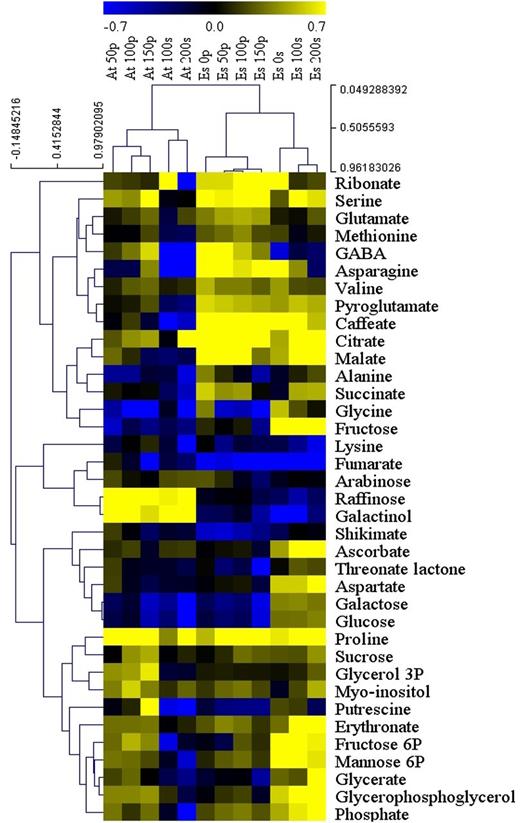 Hierarchical clustering analysis of metabolites from in vitro- and soil-grown Arabidopsis and E. salsugineum under control and salt-stress conditions. Data are expressed as log10 ratios over Arabidopsis control values. At, Arabidopsis; Es, E. salsugineum; P, plates (in vitro); S, soil. Numbers indicate NaCl concentration.