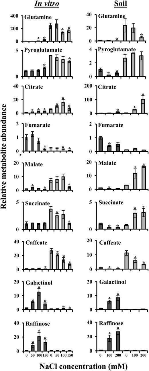 Growth platform-independent Arabidopsis (dark gray bars) and E. salsugineum (light gray bars) salt response metabolic signatures. Abundance of each metabolite was normalized to the Arabidopsis control level, which was assigned a value of 1. Data are mean (n = 4, in vitro; n = 3, soil) ± sd and are representative of three independent experiments. Asterisks represent significant difference (P ≤ 0.05, Student’s t test) between Arabidopsis or E. salsugineum and their respective controls.