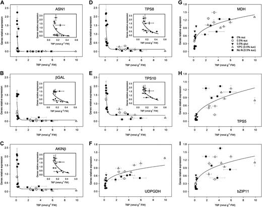 Interrelationship of SnRK1 marker genes and T6P in response to Suc and Glc feeding with full nutrition at 22°C and after transfer to 10°C or zero nitrogen compared with treatment with no supplementary sugar. Marker genes normally up-regulated by SnRK1, ASN1 (A; At3g47340; R 2 = 0.36, SEE = 0.54), βGAL (B; At5g56870; R 2 = 0.50, SEE = 0.41), AKINβ (C; At5g21170; R 2 = 0.60, SEE = 0.44), TPS8 (D; At1g70290; R 2 = 0.59, SEE = 0.45), and TPS10 (E; At1g60140; R 2 = 0.72, SEE = 0.32), and marker genes normally down-regulated by SnRK1, UDPGDH (F; At3g29360; R 2 = 0.64, SEE = 0.18), MDH (G; At3g15020; R 2 = 0.70, SEE = 0.23), TPS5 (H; At4g17770; R 2 = 0.68, SEE = 0.25), and bZIP11 (I; At4g34590; R 2 = 0.62, SEE = 0.28). The inset graphs show the curves for values of T6P between 0 and 0.5 nmol g−1 FW. Horizontal error bars are the sd of three independent T6P samples, and the vertical error bars are the sd of three independent qRT-PCR samples. The fitted lines are significant for each data group (P < 0.001).