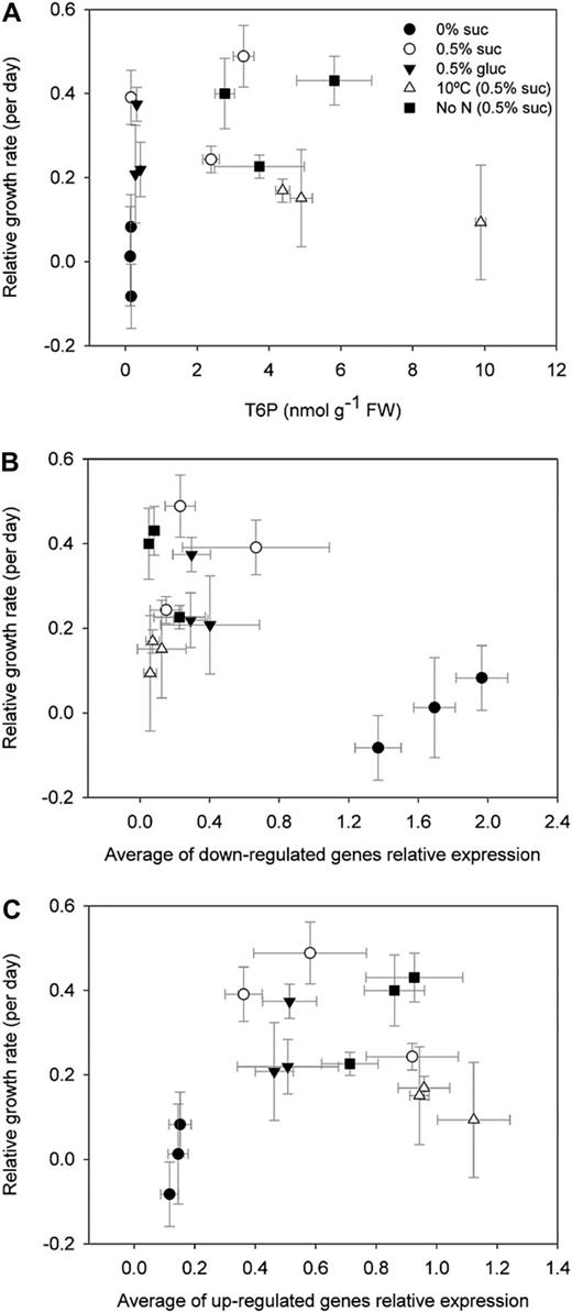 Interrelationship between growth and T6P levels and growth and SnRK1 marker gene expression. Growth was represented as the daily RGR during the 72 h of treatment. RGR versus T6P levels (A) and RGR versus averages of the relative expression of down-regulated (B) or up-regulated (C) SnRK1 marker genes. The data are means with sd of three independent samples. There was no statistically significant relationship between growth and T6P levels and growth and SnRK1 marker gene expression.