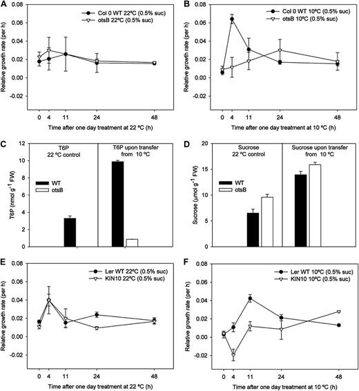 Effect on relative growth rate of altering the T6P/SnRK1 signaling pathway by transferring to 10°C for 24 h and through expression of otsB and KIN10. Seedlings were grown with 0.5% (w/v) Suc for 7 d at 22°C, either transferred to 10°C for 24 h (10°C) and then back to 22°C or held at 22°C throughout (22°C). All growth measurements were performed at 22°C. A, Relative growth rate of Columbia-0 (Col 0) wild type (WT) compared with otsB maintained at 22°C. B, Relative growth rate of Columbia-0 wild type compared with otsB transferred from 10°C. C, T6P contents of the wild type and otsB upon transfer from 10°C and control maintained at 22°C. D, Suc contents of the wild type and otsB upon transfer from 10°C and control maintained at 22°C. E, Relative growth rate of AKIN10 compared with KIN10 maintained at 22°C. F, Relative growth rate of KIN10 compared with AKIN10. The data are means with se of three independent samples. (Note: T6P levels of otsB control were below detection limit.)