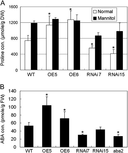 Pro and ABA contents in ERF1 transgenic plants. Total Pro or ABA was prepared from 3-week-old Arabidopsis grown on MS agar plates. Pro contents were also measured after treating with 0.4 m mannitol for 24 h. Data are presented as means and se of three replications. A, Pro contents in ERF1 transgenic plants. Error bars indicate se (ANOVA; *P < 0.01). DW, Dry weight; WT, wild type. B, ABA contents of ERF1 transgenic plants. Error bars indicate se (Student’s t test; *P < 0.01). FW, Fresh weight.