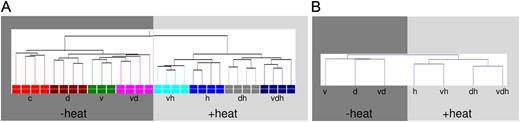 Transcriptome and metabolome profiles of triple-stressed plants. A, Condition tree based on hierarchical clustering of expression data separating replicates of each condition. For the analysis, four biological replicates were hybridized. Colored boxes at the bottom indicate different treatments. B, Condition tree based on hierarchical clustering of metabolome data separating treatments of each condition. Metabolome data are given as mean values with n = 3. Conditions are as follows: heat (h), drought (d), TuMV (v), drought and heat (dh), TuMV and heat (vh), drought and TuMV (dv), and TuMV, drought, and heat (vdh).