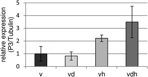 qPCR analysis of the viral P3 gene in TuMV-infected Arabidopsis plants. Accumulation of P3 mRNA was quantified by quantitative RT-PCR using primers published by Kim et al. (2010). Relative expression levels were normalized to tubulin expression. Error bars represent se (n = 3). v, Virus infection; vd, combined virus infection and drought stress; vh, combined virus infection and heat stress; vdh, combined virus infection, drought, and heat stress.